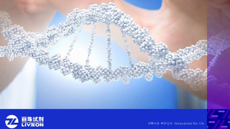 再獲認可丨麗珠試劑三款核酸檢測産品滿分通過國家室間質量評價